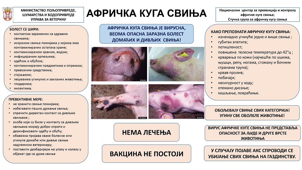 Информативни састанак у Рушњу на тему афричке куге свиња